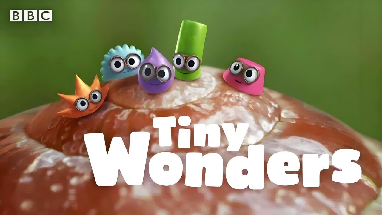 BBC少儿科普动画《小奇迹 Tiny Wonders (视频+音频) 》