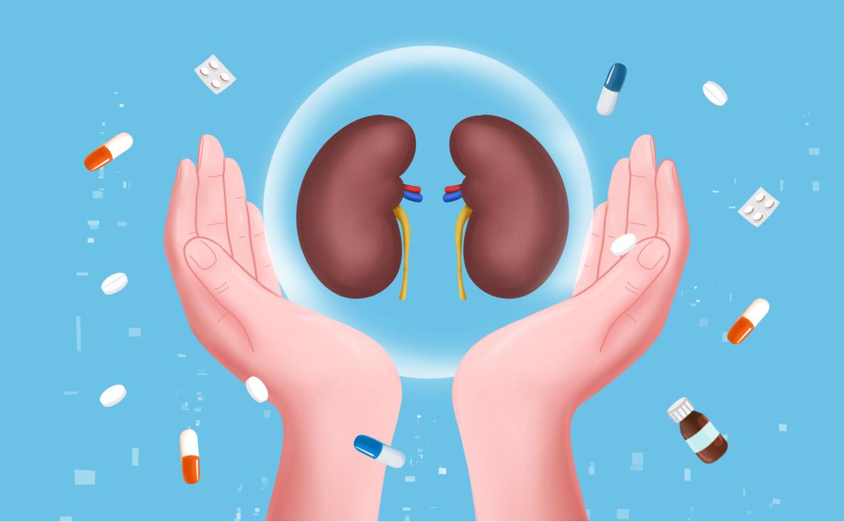 男性健康养生壮阳补肾电子书合集插图 男性健康养生壮阳补肾电子书合集