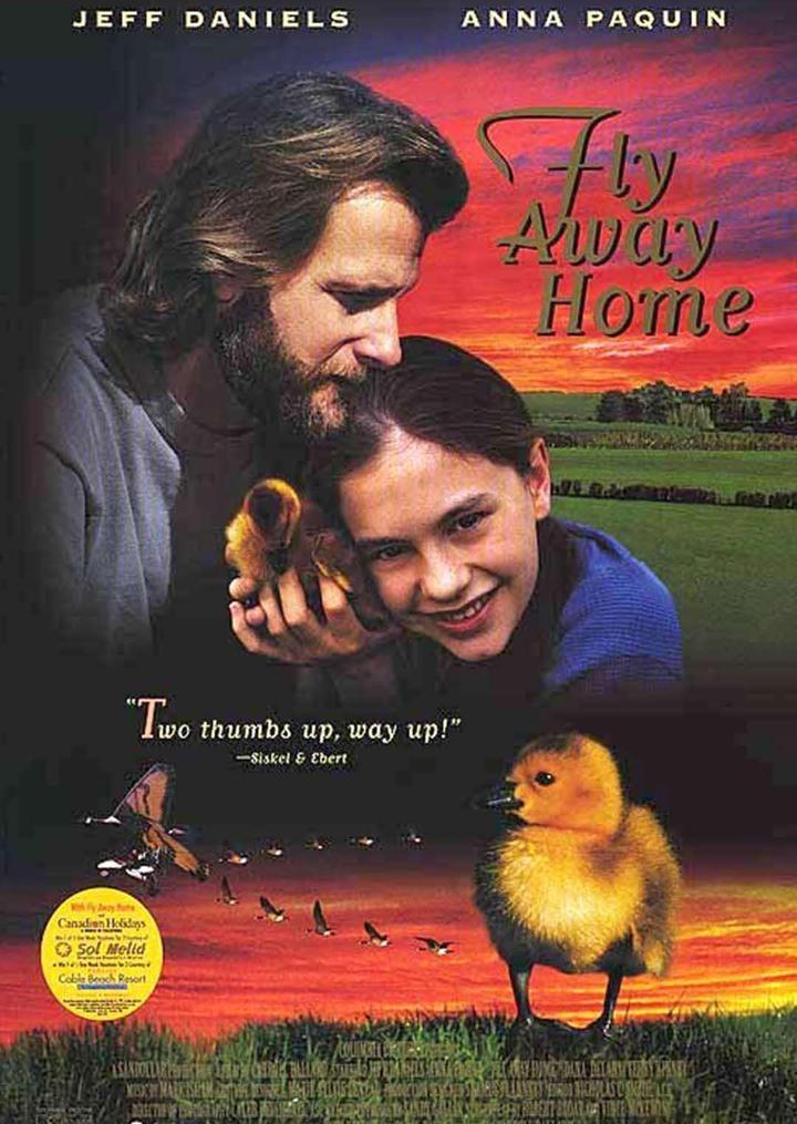 伴你高飞 Fly Away Home (1996) 1080P 英语中字 [剧情家庭] 卡罗尔·巴拉德